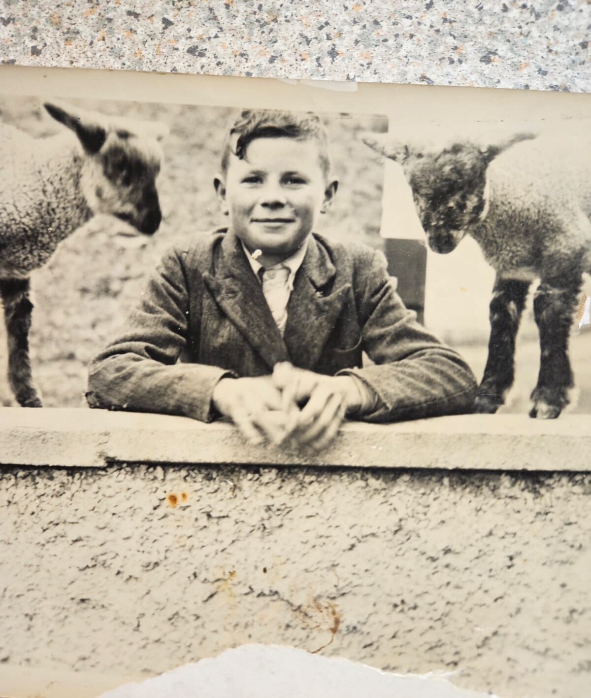 A 70+ year old picture of Seamus with 2 lambs around him